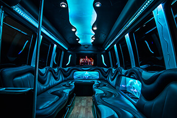 limo/party bus interior